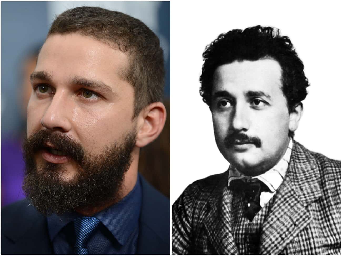 Shia LaBeouf Has The Intensity Of A Young Albert Einstein